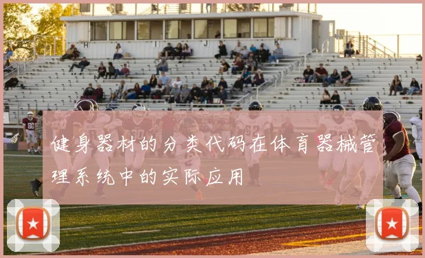 健身器材的分类代码在体育器械管理系统中的实际应用