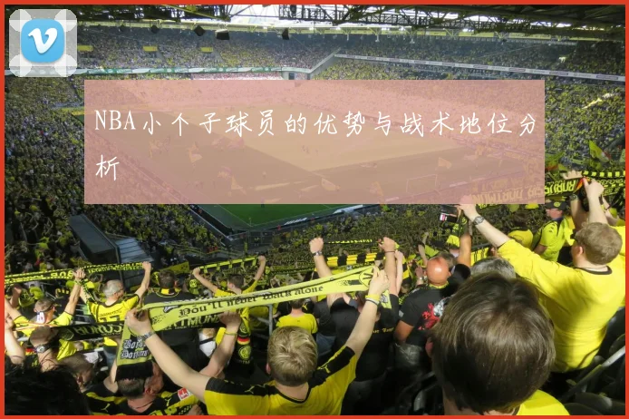 NBA小个子球员的优势与战术地位分析