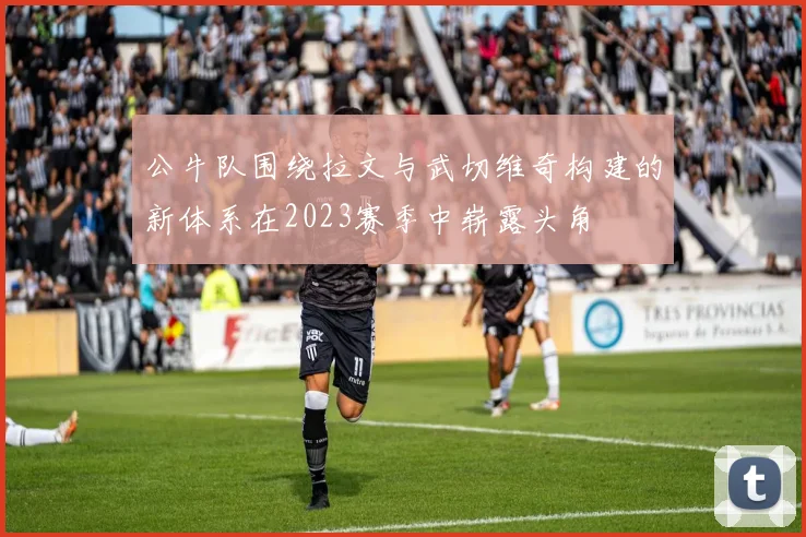 公牛队围绕拉文与武切维奇构建的新体系在2023赛季中崭露头角