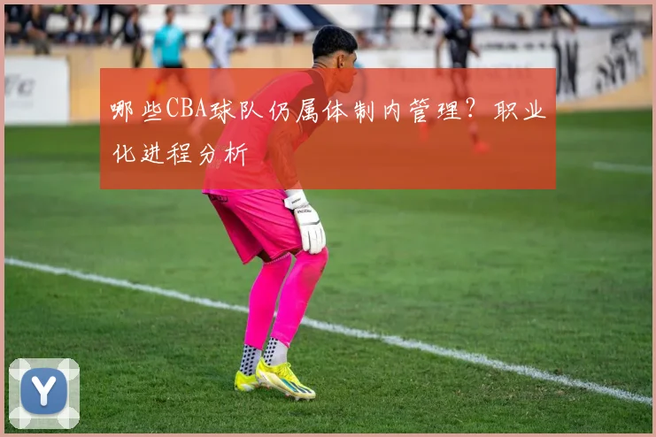 哪些CBA球队仍属体制内管理?职业化进程分析